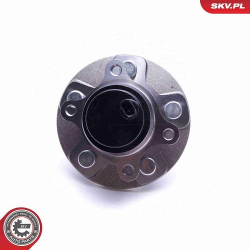 ESEN SKV Radlagersatz