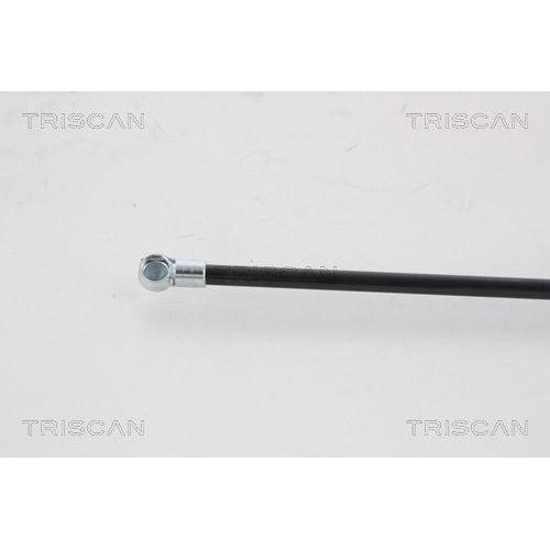 TRISCAN Gasfeder, Koffer-/Laderaum