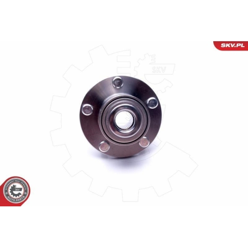 ESEN SKV Radlagersatz