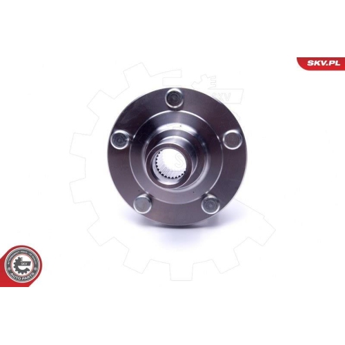 ESEN SKV Radlagersatz