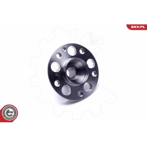 ESEN SKV Radlagersatz