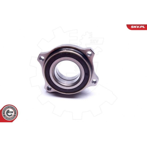 ESEN SKV Radlagersatz