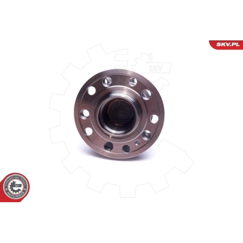 ESEN SKV Radlagersatz