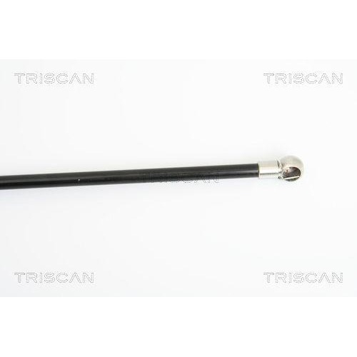 TRISCAN Gasfeder, Koffer-/Laderaum