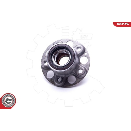 ESEN SKV Radlagersatz
