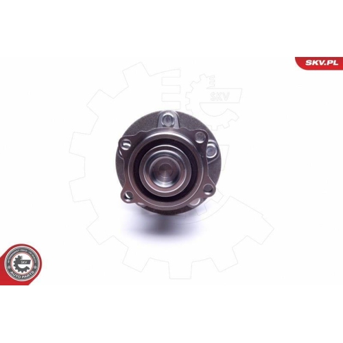 ESEN SKV Radlagersatz