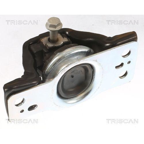 TRISCAN Lagerung, Motor