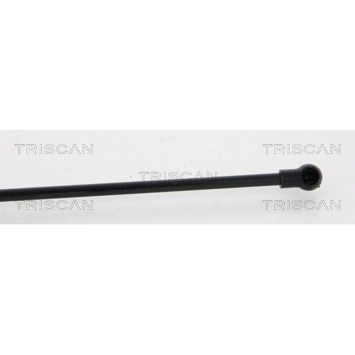 TRISCAN Gasfeder, Koffer-/Laderaum