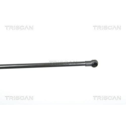 TRISCAN Gasfeder, Koffer-/Laderaum