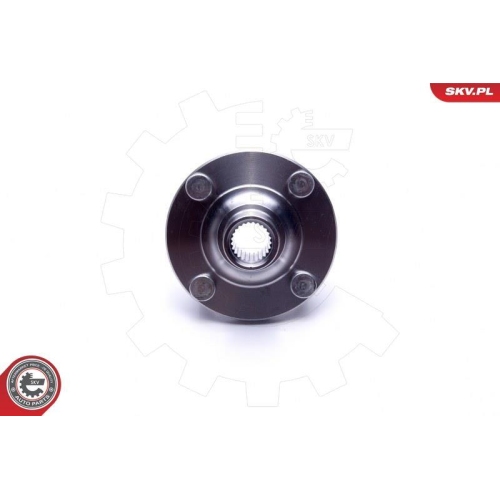ESEN SKV Radlagersatz