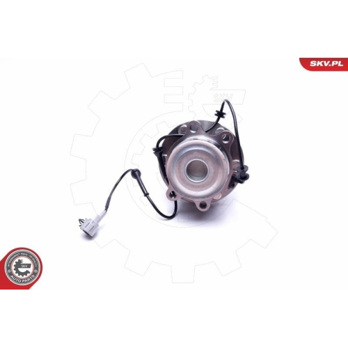 ESEN SKV Radlagersatz