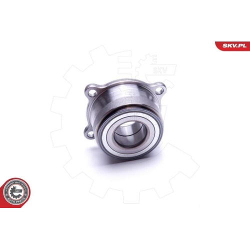 ESEN SKV Radlagersatz