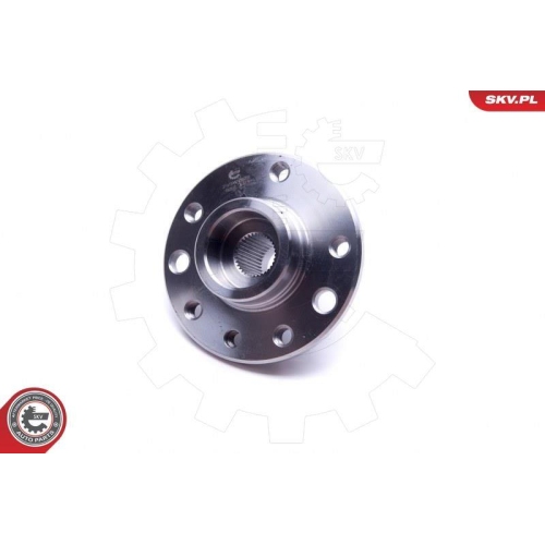 ESEN SKV Radlagersatz