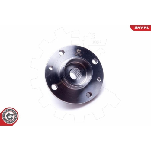 ESEN SKV Radlagersatz