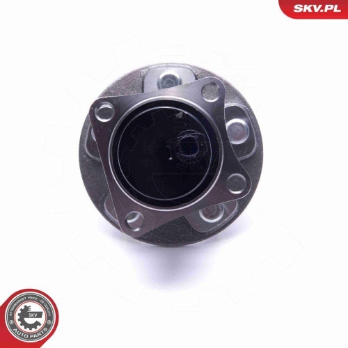 ESEN SKV Radlagersatz