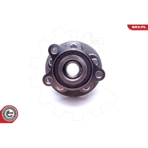 ESEN SKV Radlagersatz