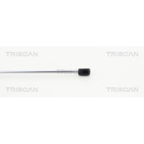 TRISCAN Gasfeder, Koffer-/Laderaum