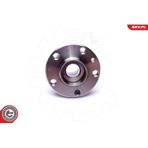 ESEN SKV Radlagersatz