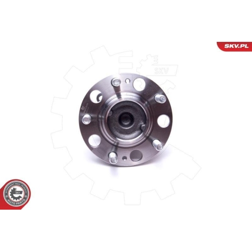 ESEN SKV Radlagersatz