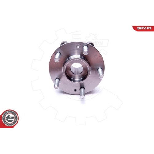 ESEN SKV Radlagersatz