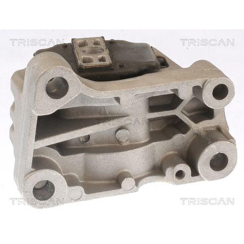 TRISCAN Lagerung, Motor