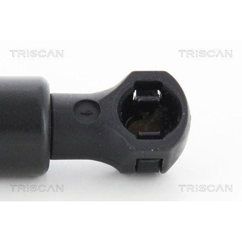 TRISCAN Gasfeder, Koffer-/Laderaum