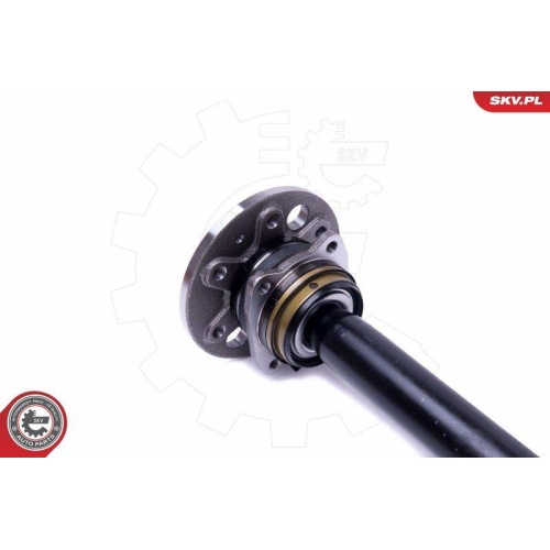 ESEN SKV Radlagersatz