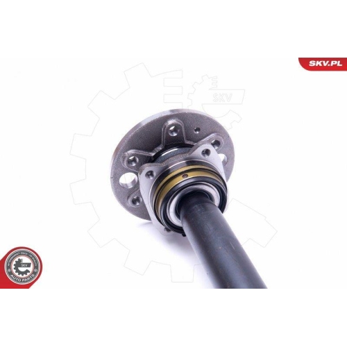 ESEN SKV Radlagersatz