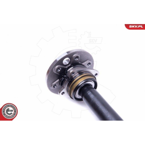 ESEN SKV Radlagersatz