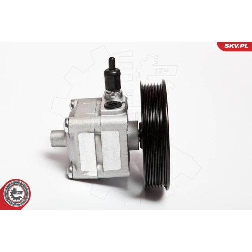 ESEN SKV Hydraulikpumpe, Lenkung