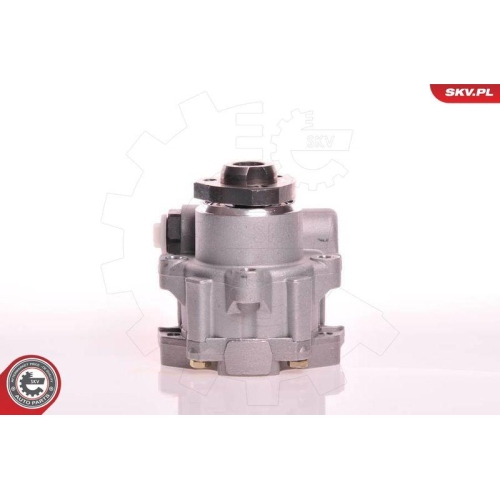 ESEN SKV Hydraulikpumpe, Lenkung