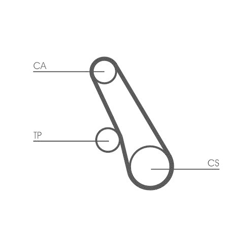 CONTINENTAL CTAM Zahnriemen