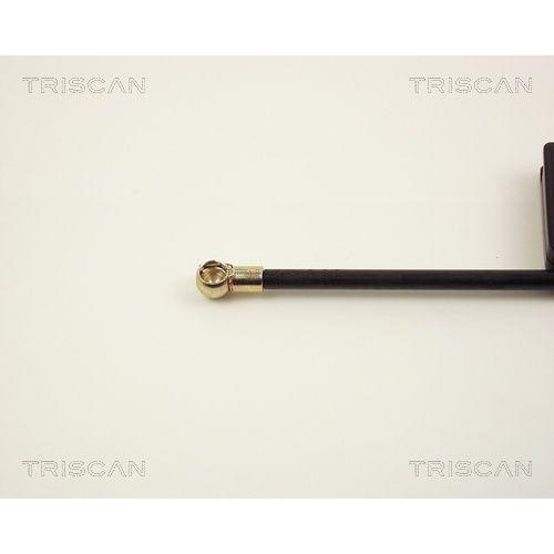 TRISCAN Gasfeder, Koffer-/Laderaum