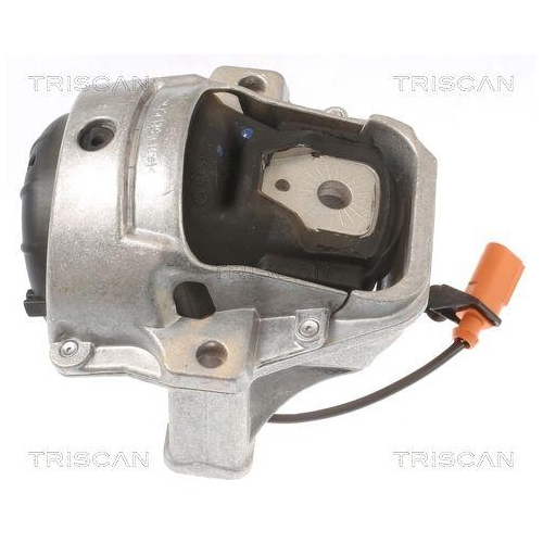 TRISCAN Lagerung, Motor