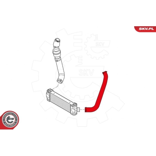ESEN SKV Ladeluftschlauch