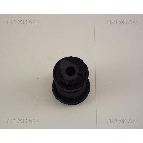 TRISCAN Lagerung, Lenker