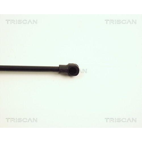 TRISCAN Gasfeder, Koffer-/Laderaum