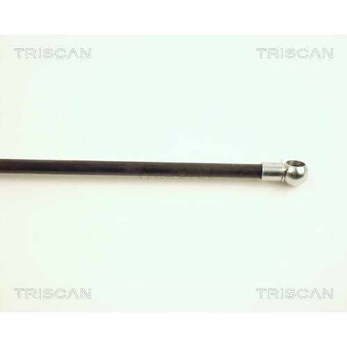 TRISCAN Gasfeder, Koffer-/Laderaum