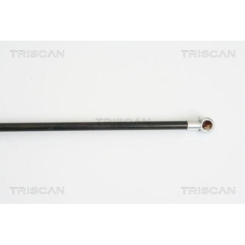 TRISCAN Gasfeder, Koffer-/Laderaum