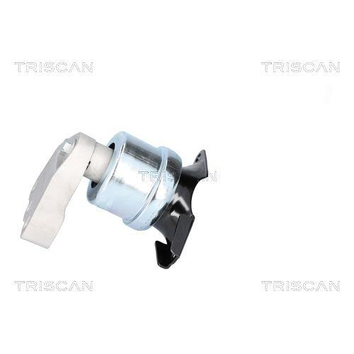 TRISCAN Lagerung, Motor