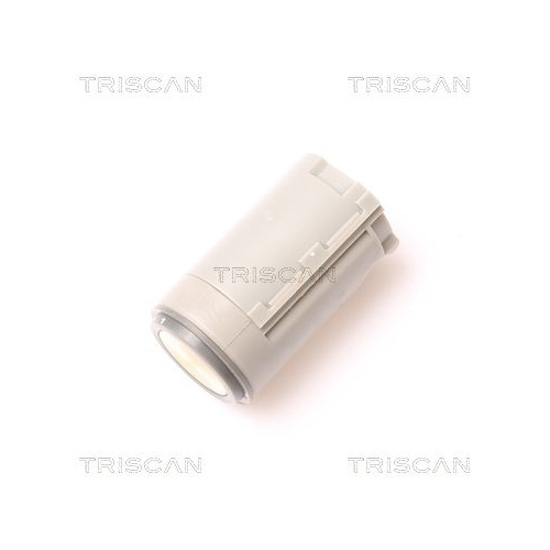 TRISCAN Sensor, Einparkhilfe