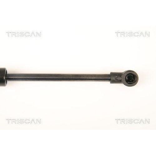 TRISCAN Gasfeder, Koffer-/Laderaum