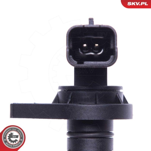 ESEN SKV Sensor, Motorölstand