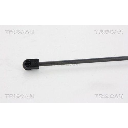 TRISCAN Gasfeder, Koffer-/Laderaum