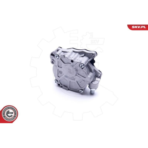 ESEN SKV Unterdruckpumpe, Bremsanlage