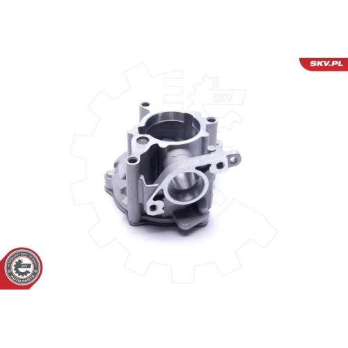 ESEN SKV Unterdruckpumpe, Bremsanlage