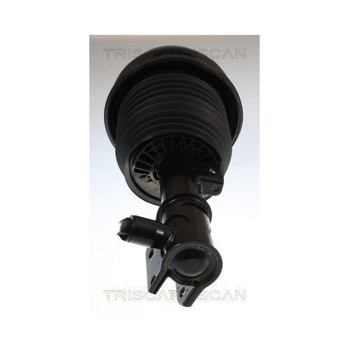 TRISCAN Fahrwerksfeder