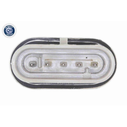 VEMO Wassersensor, Kraftstoffanlage Q+, Erstausrüsterqualität