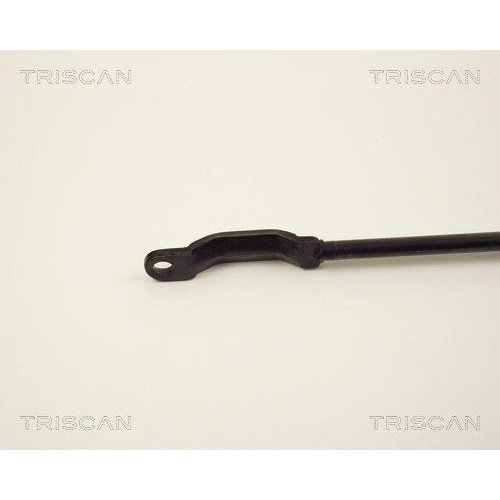 TRISCAN Gasfeder, Koffer-/Laderaum