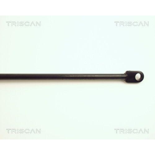 TRISCAN Gasfeder, Motorhaube